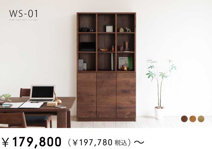 WS-01IEǖʎ[