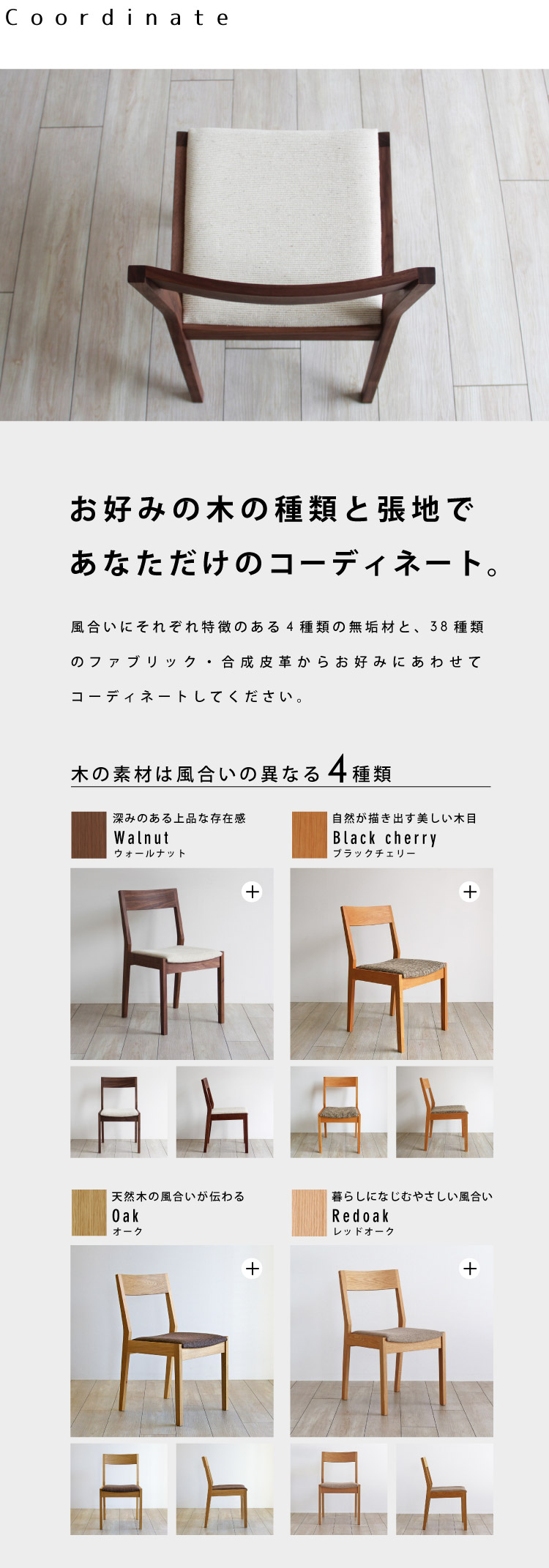 普通のイス ウォールナット「FUTSUU NO ISU」