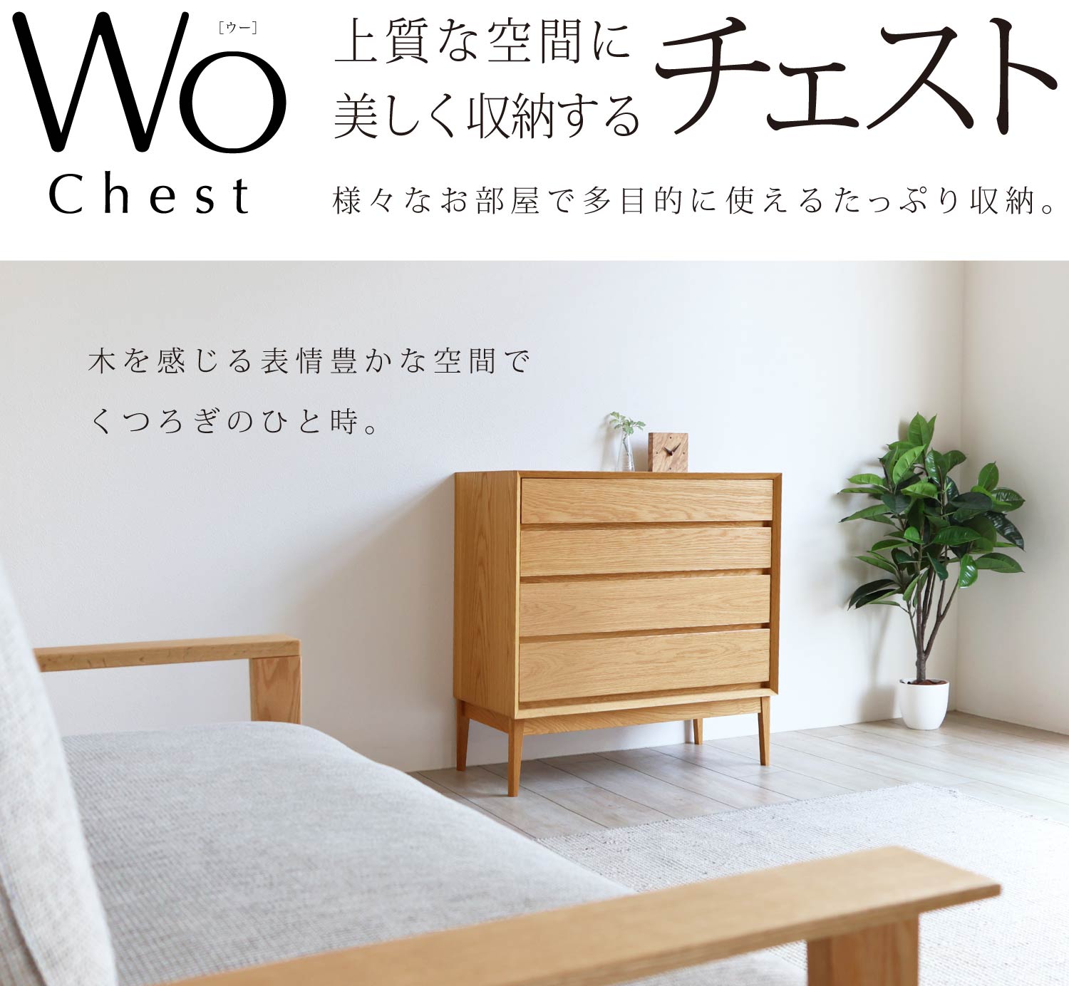 ㎿ȋԂɔ[Wo`FXgmWO chestn