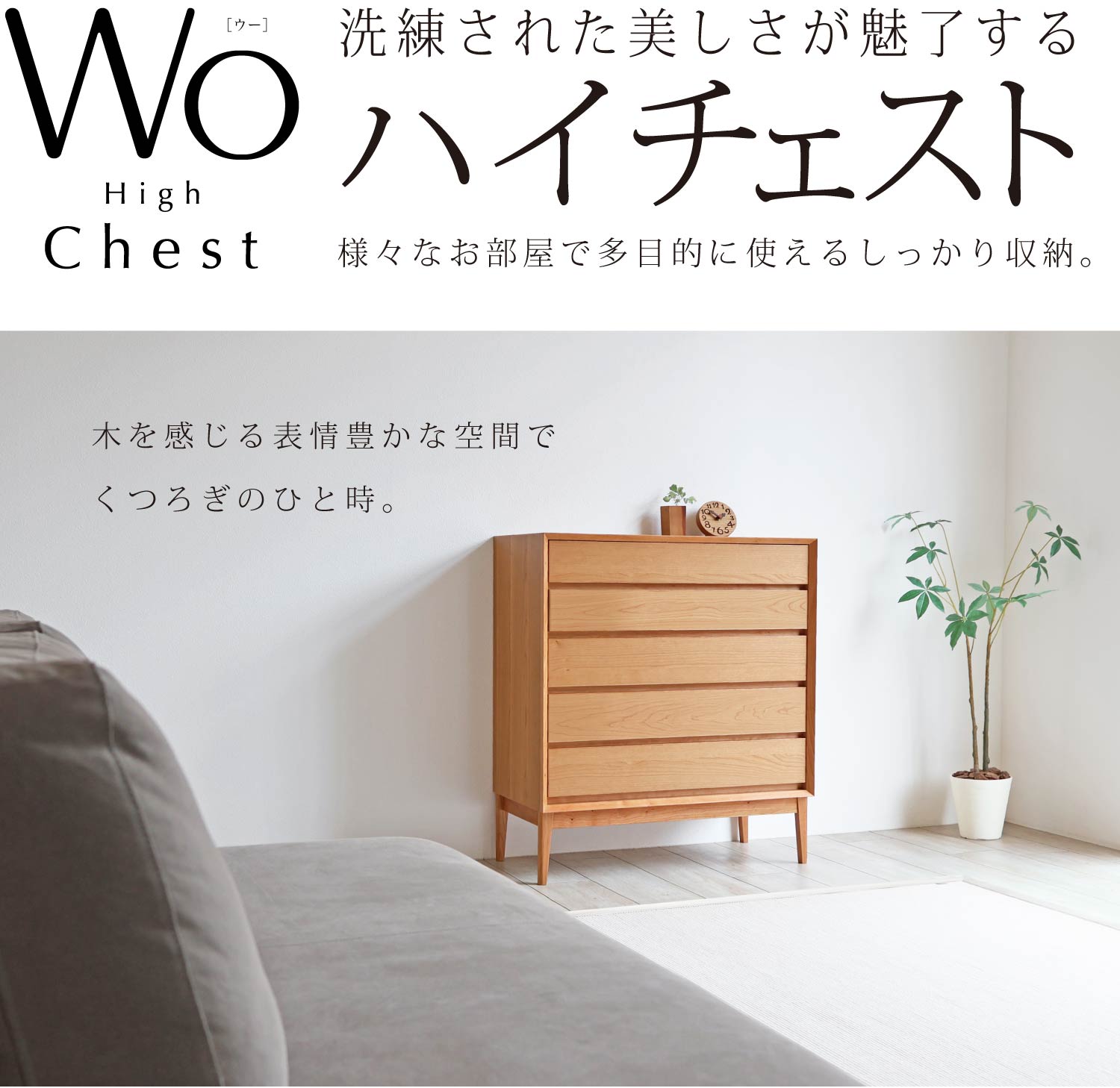 ꂽWonC`FXgmWO high chestn