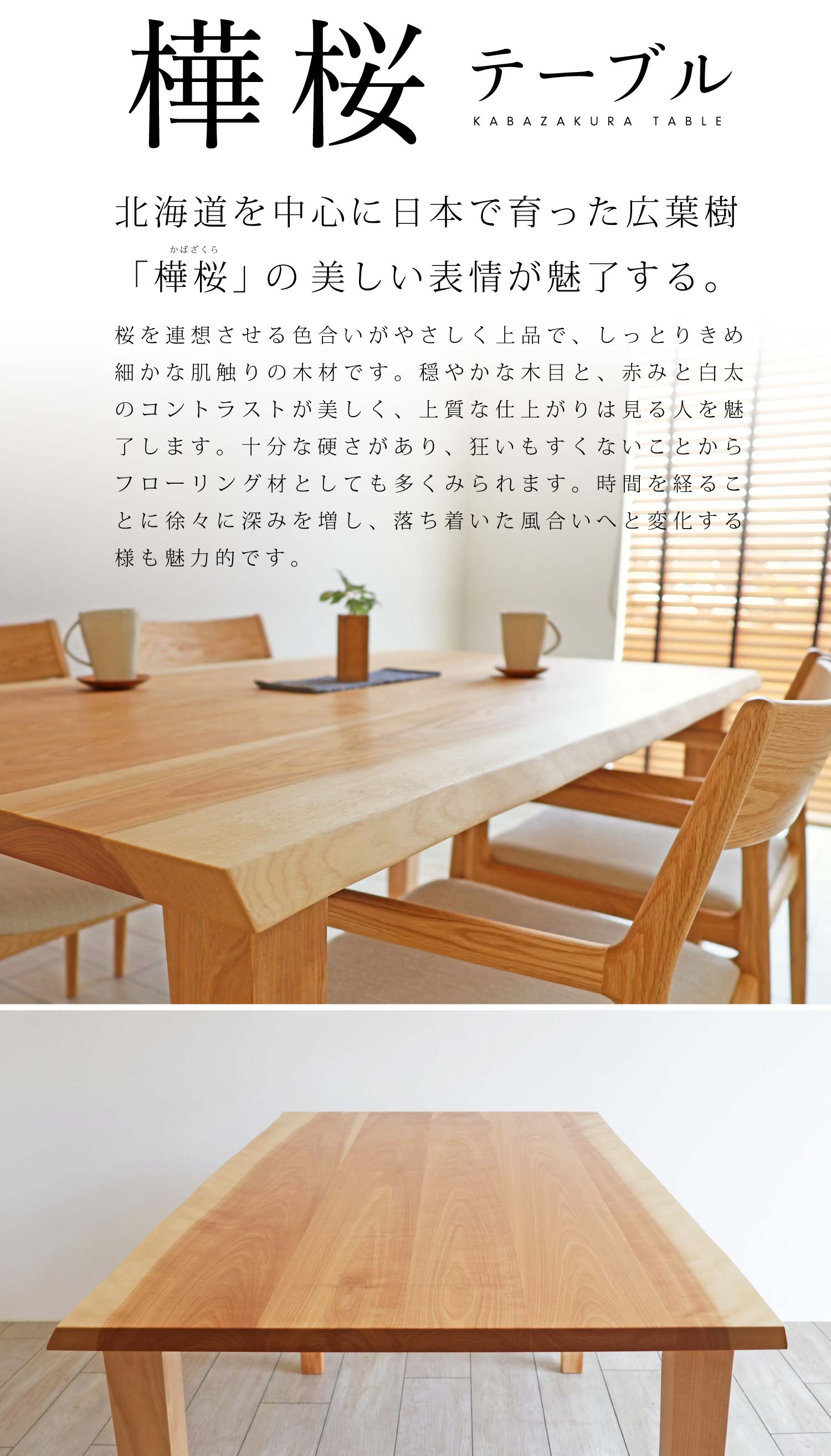 �����i�J�o�U�N���j�e�[�u���F�؂₩�ł₳�����F�����ƖL���ȕ���������������B