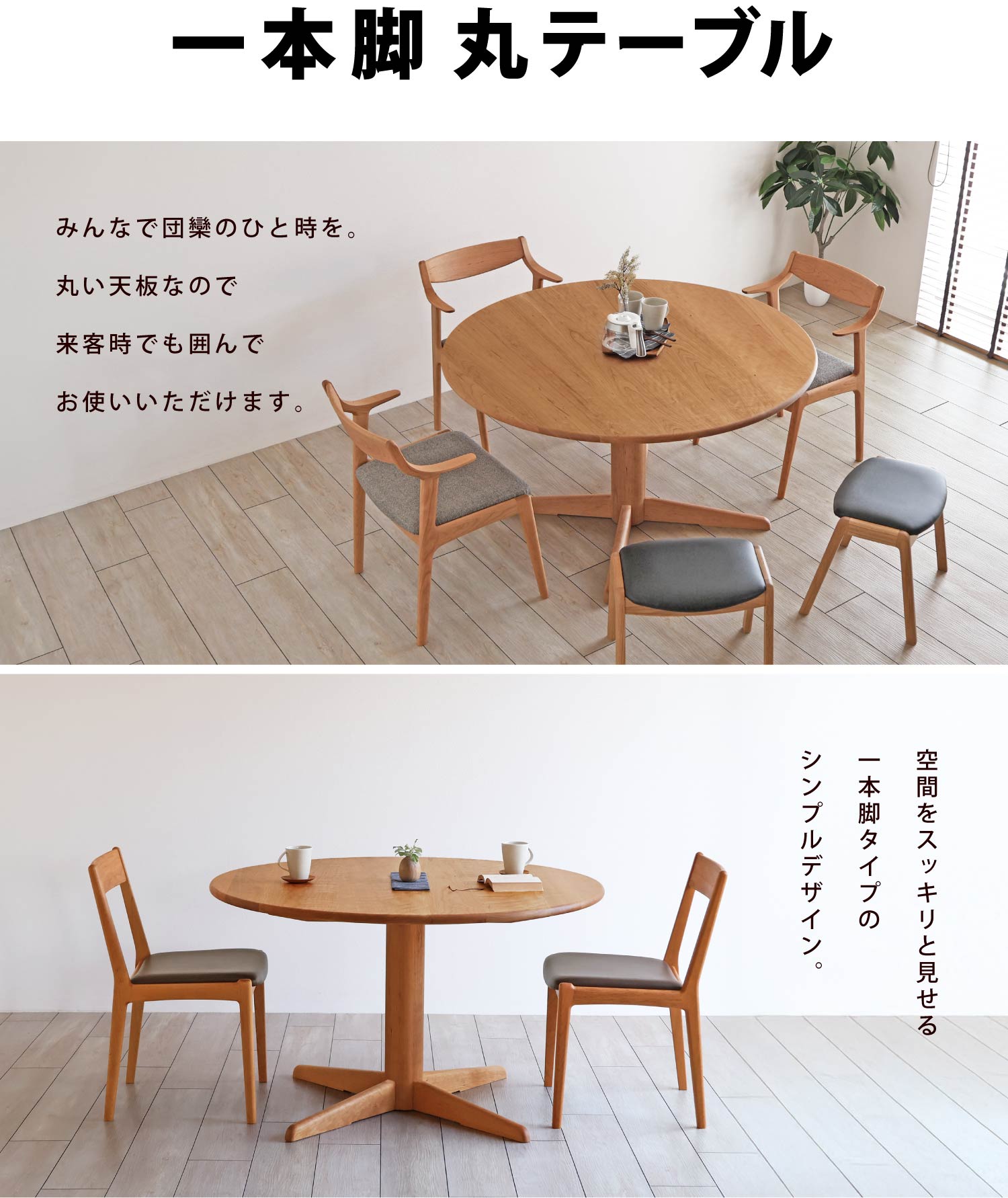 {r ۃe[umOL-RTn݂ȂŒcR̂ЂƎBۂVȂ̂ŗqł͂łg܂BԂXbLƌ{r^CṽVvfUCB