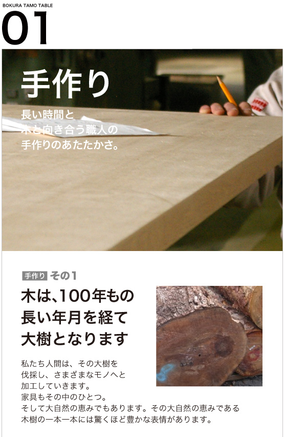 まじめなタモテーブル