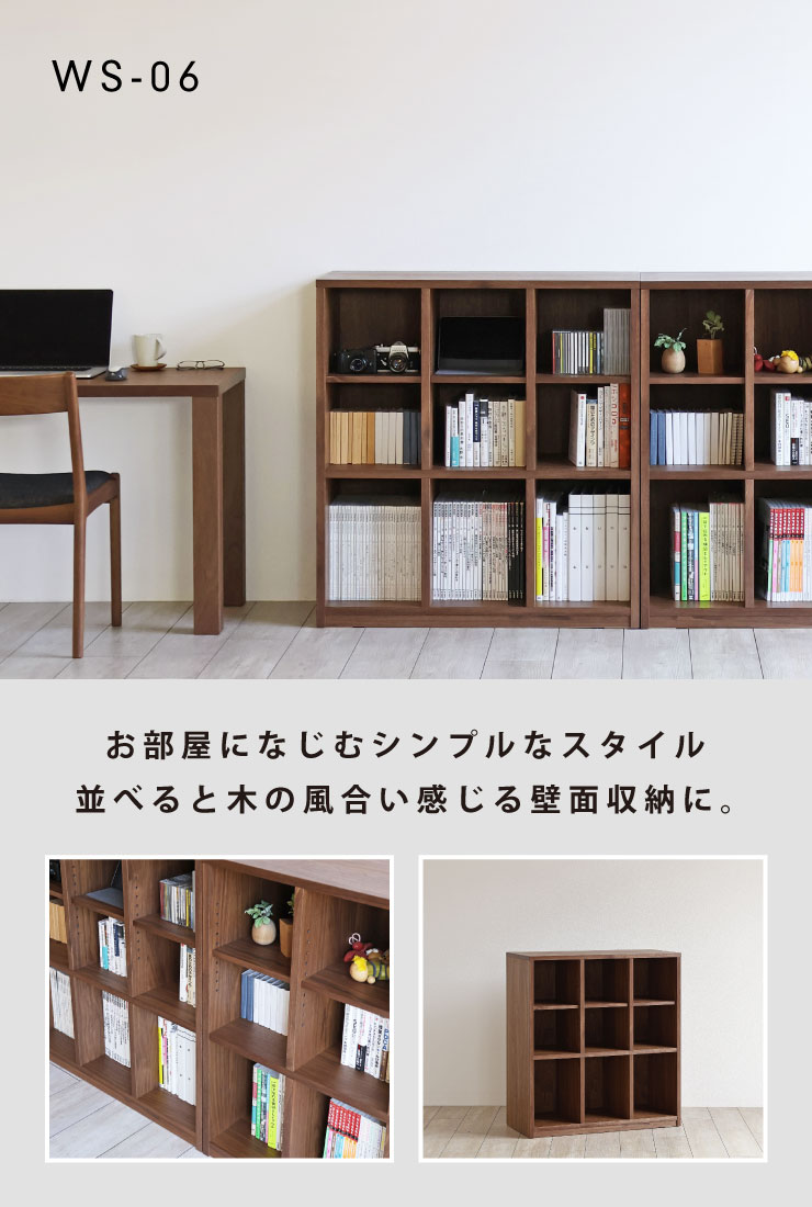WS-06@ǖʎ[