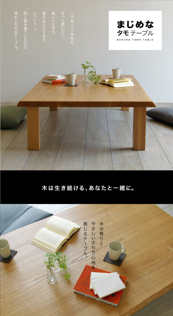 まじめなタモテーブル