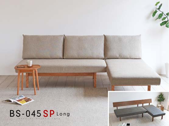 BS-045-SPO@\t@
