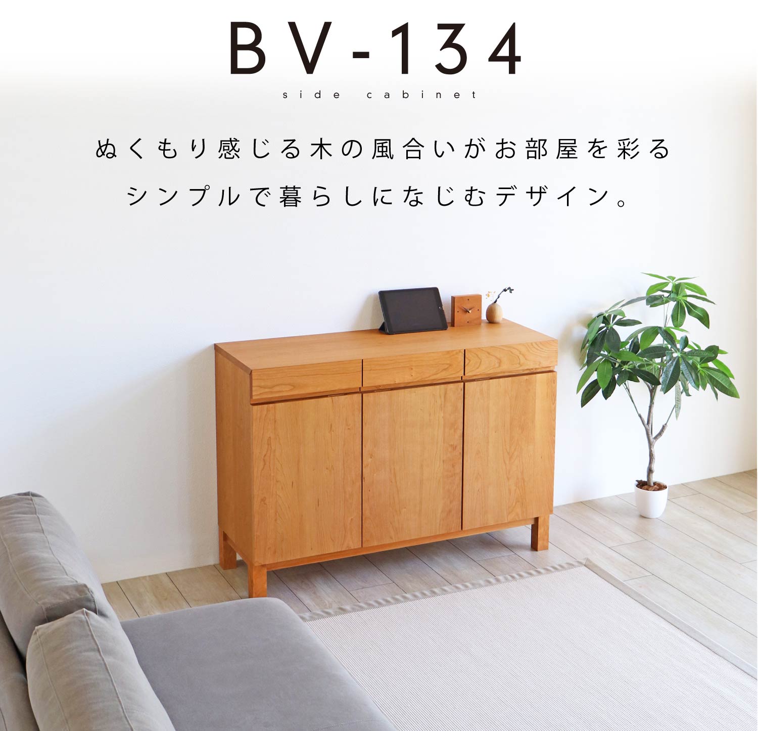 ʂ芴؂̕ʂVvȃLrlbgBmBV-134n