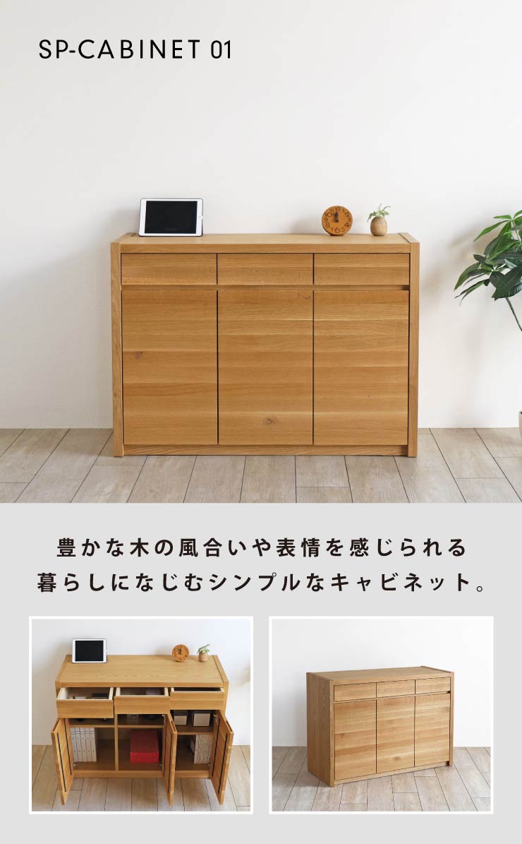 SP-CABINET01
