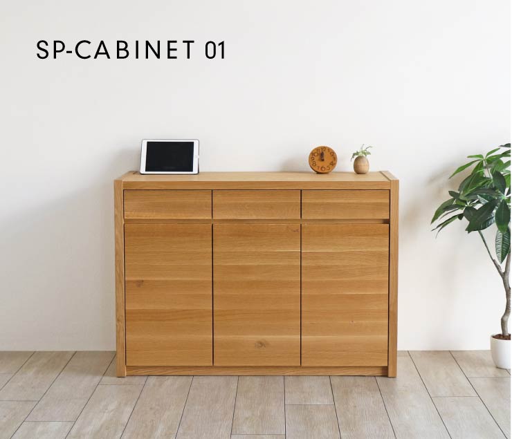 SP-CABINET01